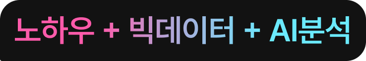 노하우 + 빅데이터 + AI분석