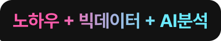 노하우 + 빅데이터 + AI분석